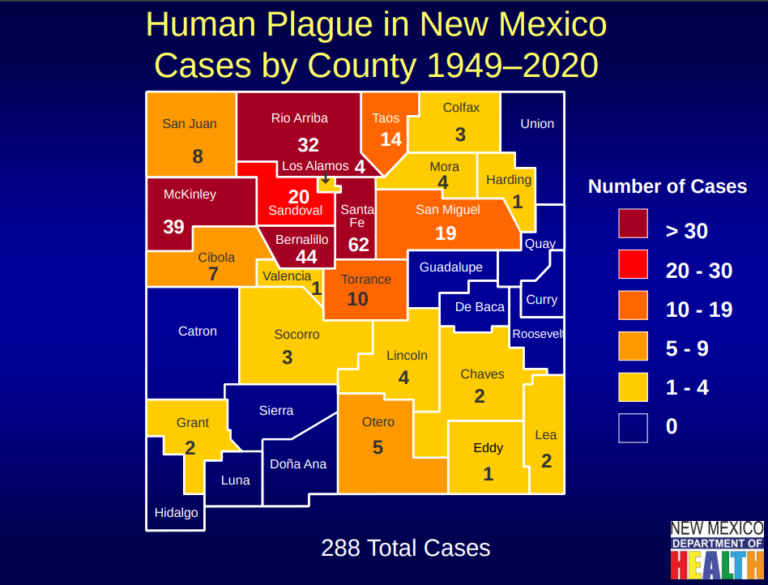 New Mexico Reports This Year’s First Case of Bubonic Plague Lea