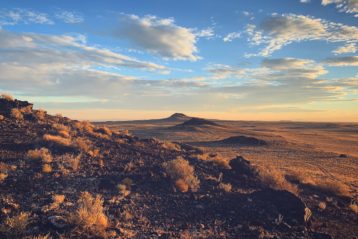 Desert landscape