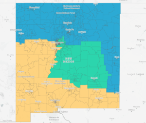 NM Redistricting