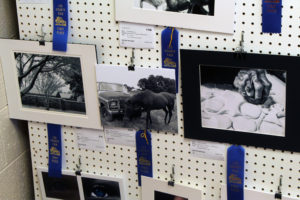 Photo entries at the Lea County Fair & Rodeo